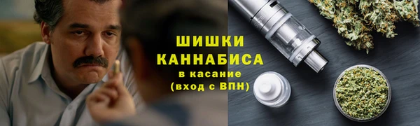 ГАЛЛЮЦИНОГЕННЫЕ ГРИБЫ Вяземский